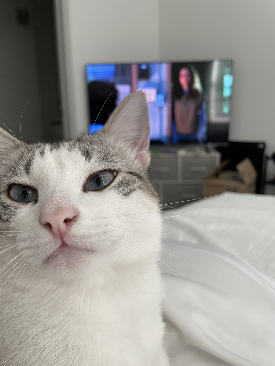 FrtingGlitter tweet media