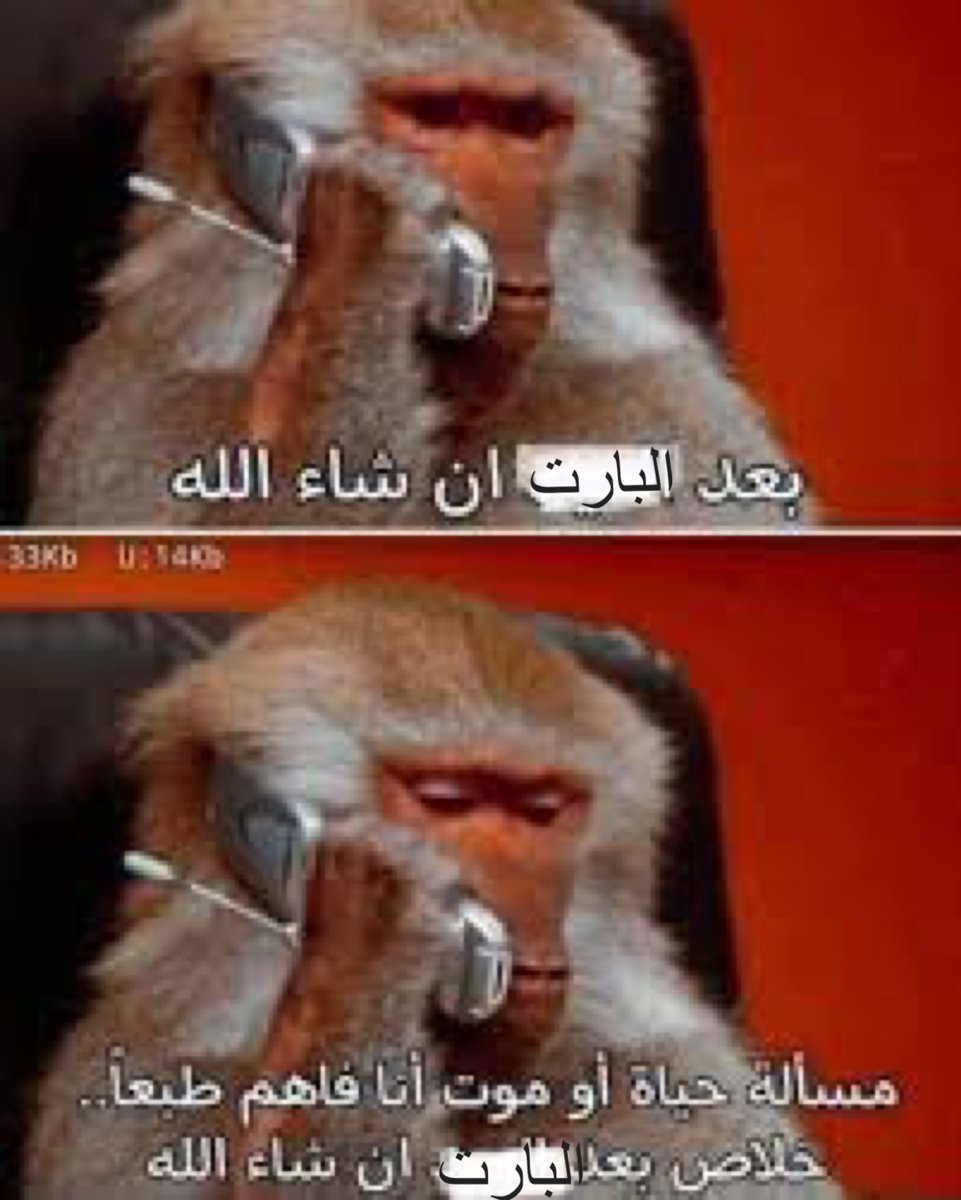 asmaahsaleh's tweet photo. https://t.co/OYB0ZQu7kU