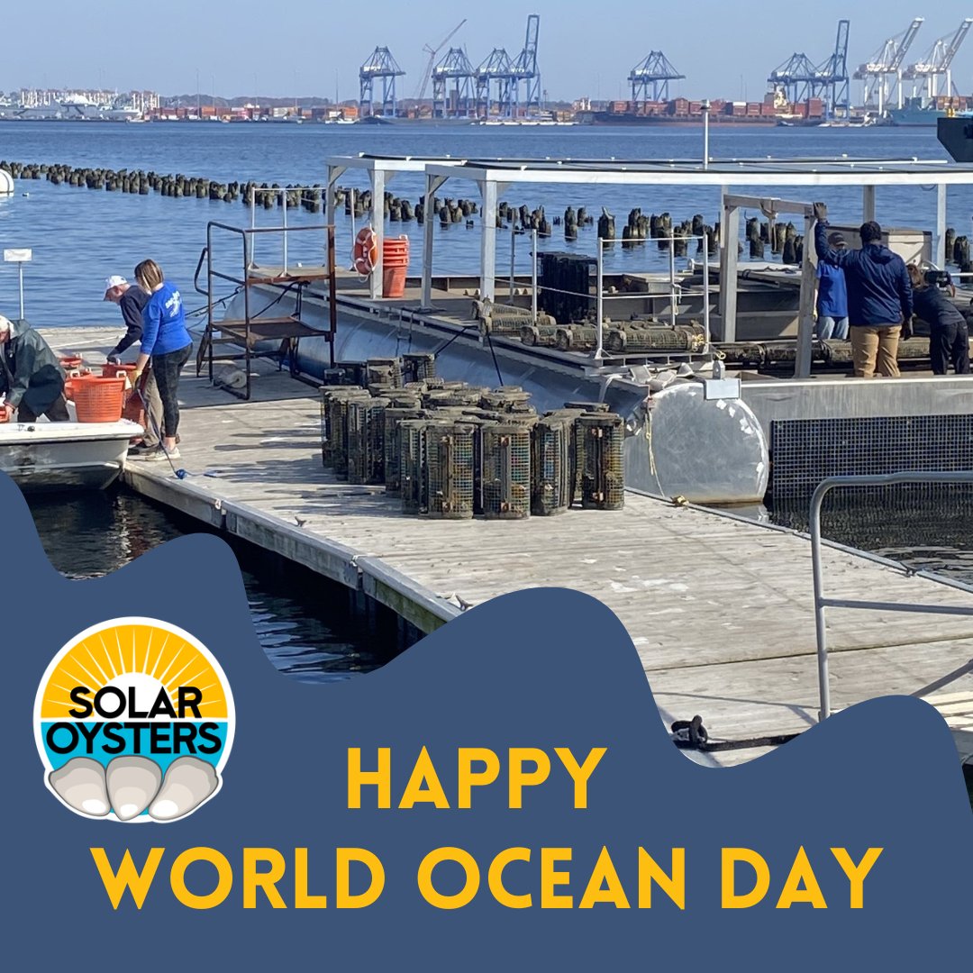 OystersSolar's tweet photo. Yesterday was World Ocean Day! Protecting our oceans is vital, as is protecting our rivers, bays, and estuaries as they feed into our oceans.

Our SOPS improves water quality &amp; increases the population of oyster and other shellfish in these smaller bodies of water. https://t.co/7JczOCkPv2