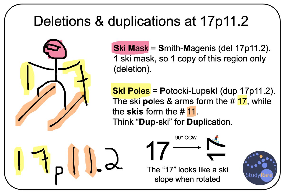 How can ski equipment ⛷️ help you remember disorders at chromosome 17p11.2? 

- "Ski Mask" 🥽: Smith-Magenis, del 17p11.2
- "SKI POles" 🎿: POtocki-LupSKI, dup 17p11.2

The number "17" turned 90° counterclockwise 🔄 looks like a downhill ski slope ⛰️.

#GeneChat