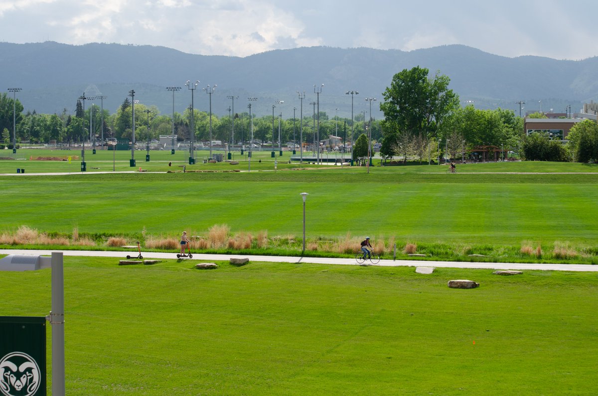 ColoradoStateU's tweet photo. The Great Green 🌱🌳 https://t.co/WwLGdIztsE