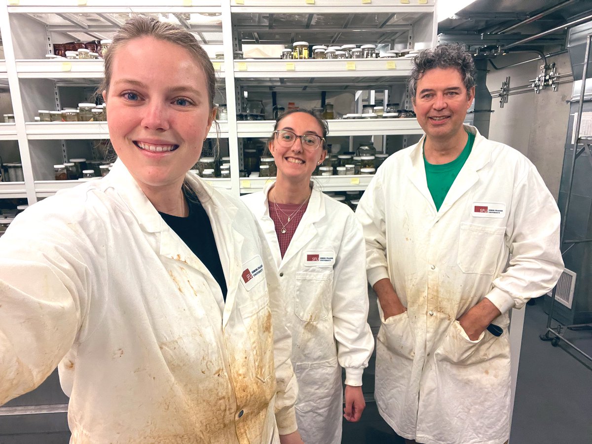 #fieldworkfriday Before and after measuring 60+ #sharks and #rays form <a href="/calacademy/">California Academy of Sciences</a>’s museum collections #dulvylabgoesoutside #sharksnearme