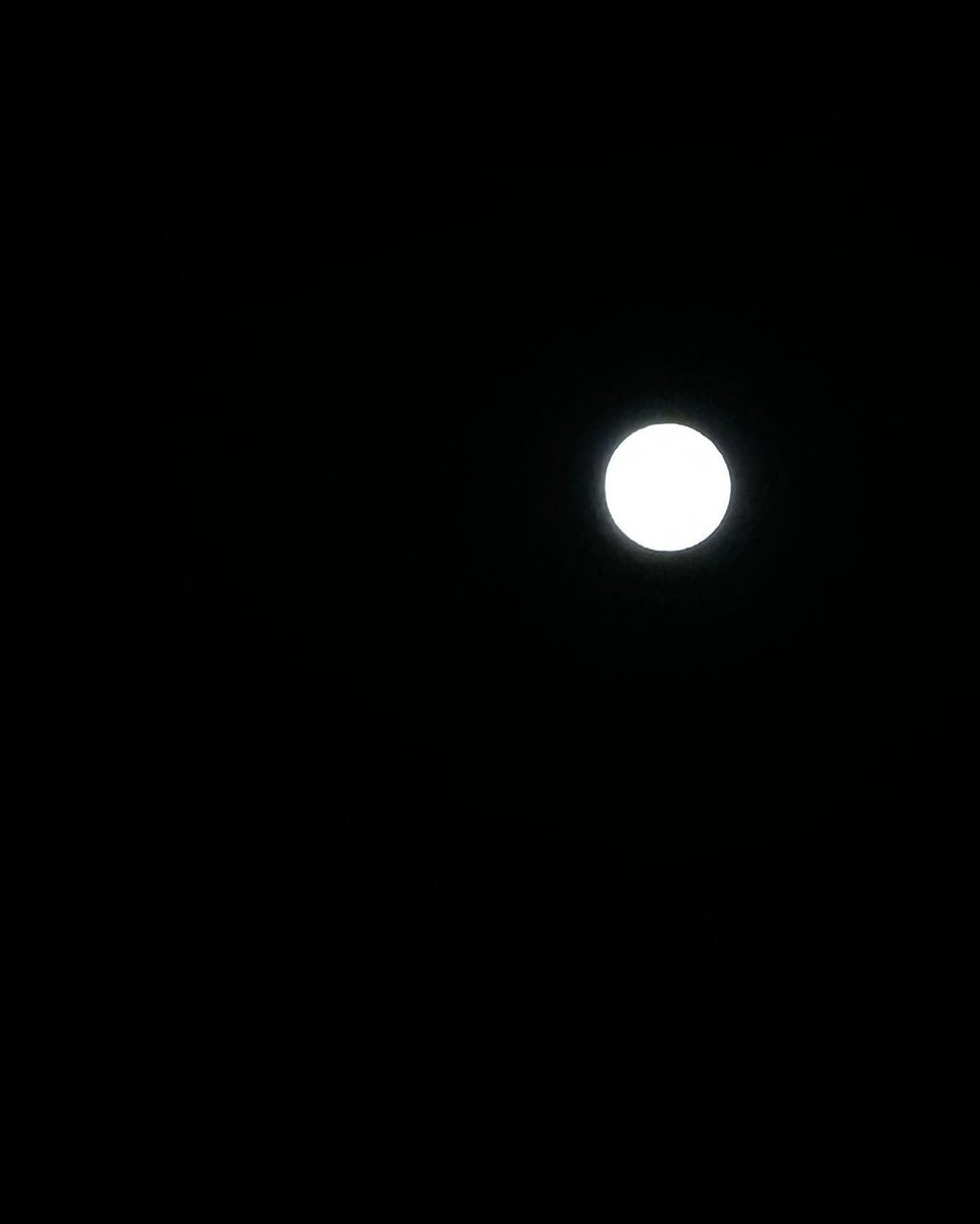jichanming's tweet photo. Painting the sky blue, the moon shines so bright. The stars twinkle beautifully, like dancing fireflies in the sky. The air is crisp as I walk by and the world seems to slow down as I soak up the moon's serene crown. https://t.co/zS9mrtolnL