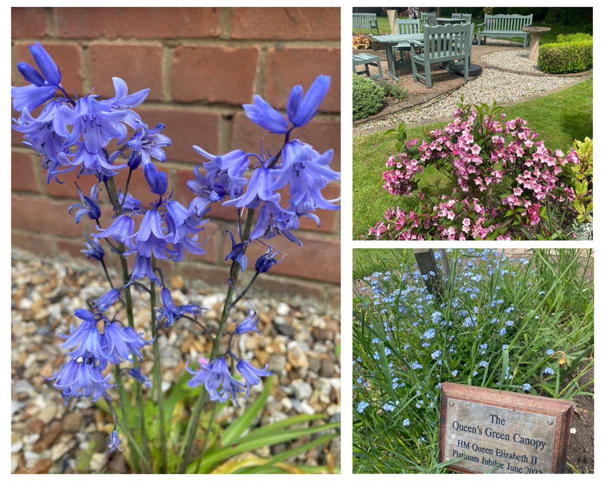 Our Cancer Support Group made the most of the wonderful weather this morning in our beautiful gardens🌞☕️

#Summer #Wellbeing  #CancerSupportGroup #Bedford