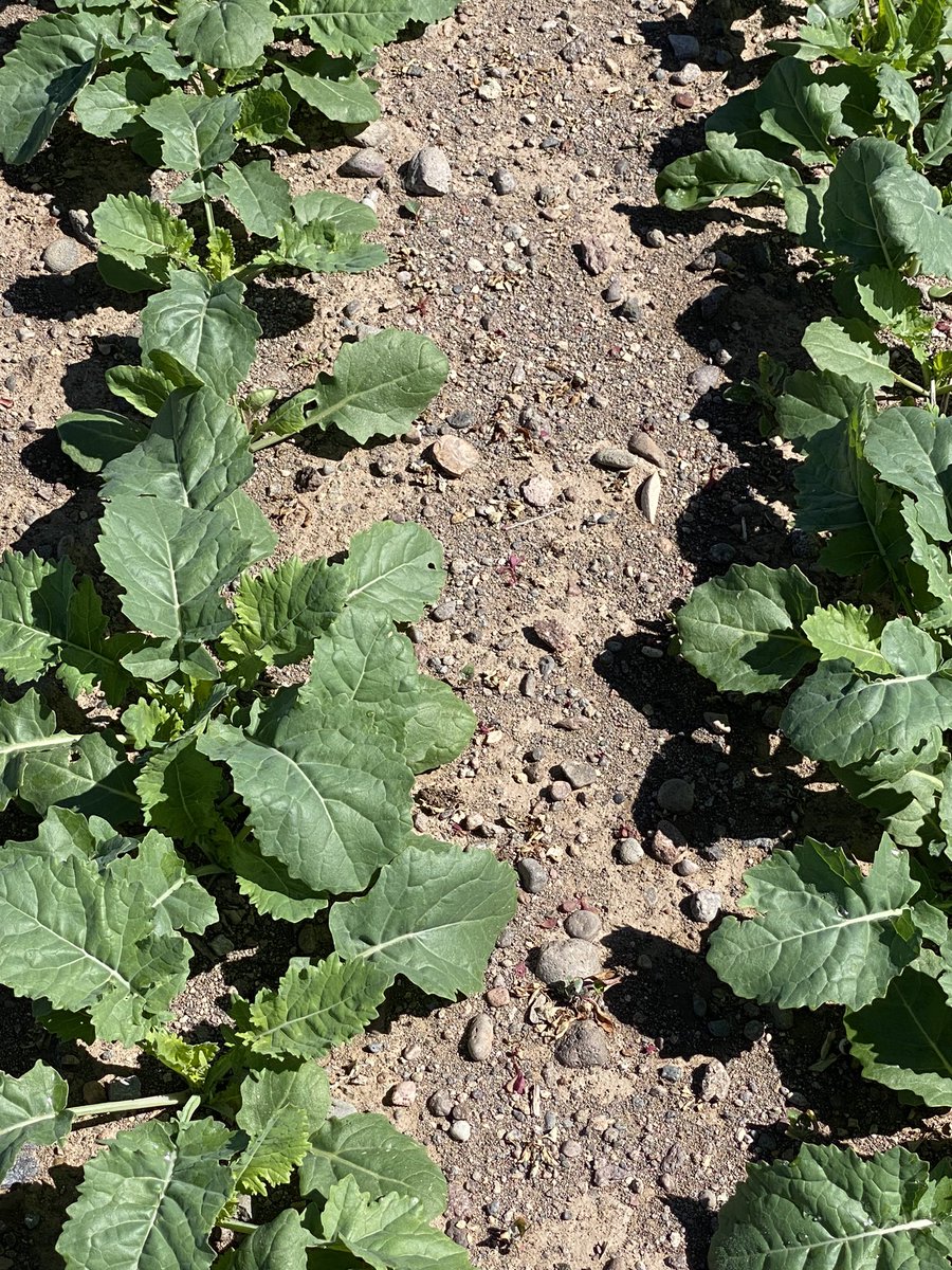 Ryan Moeller tweet media