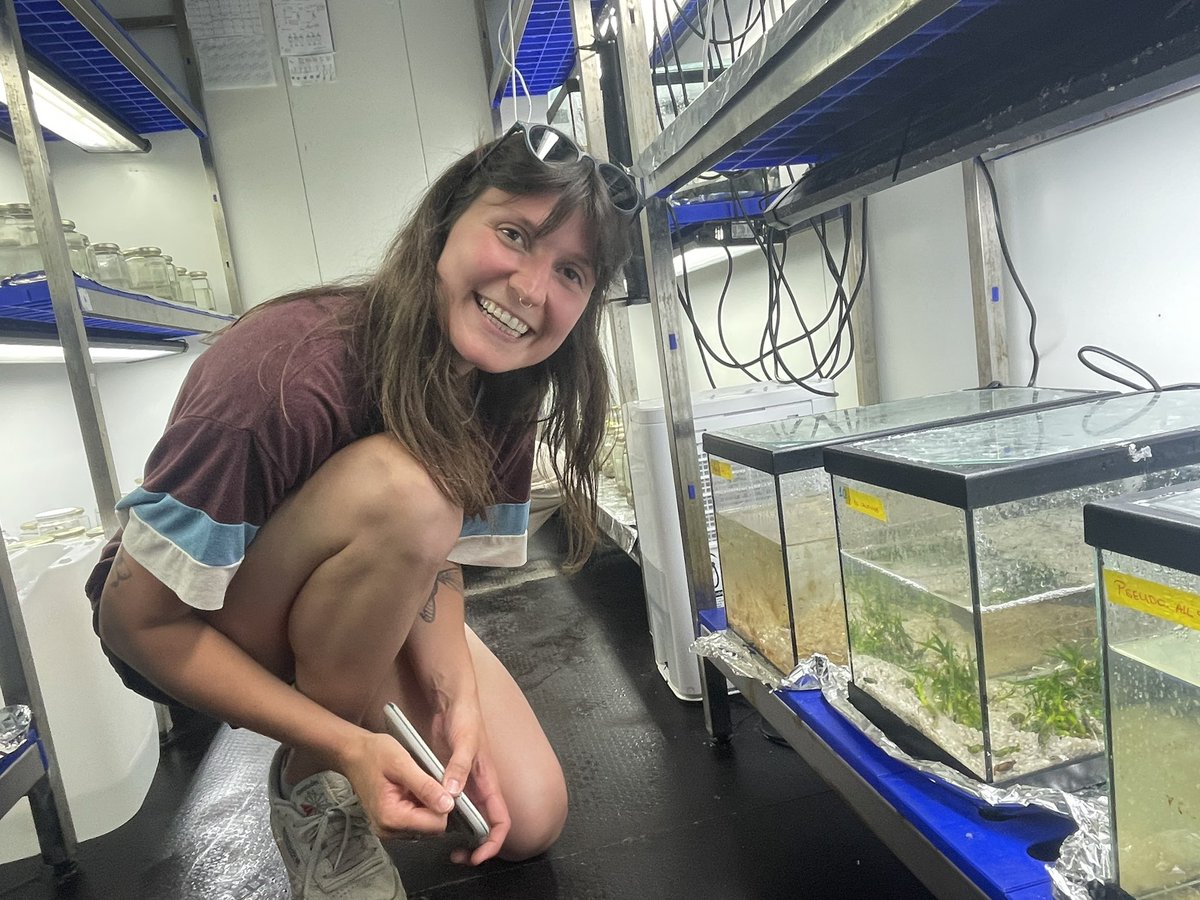 Dr Adriana Vergés tweet media