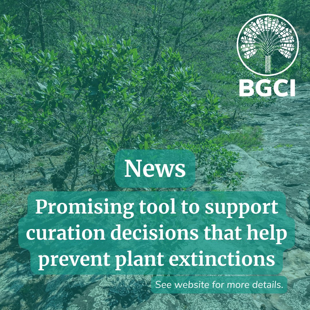 Have you wondered how to prioritise among the #threatenedspecies in your collection or how to decide which rare species to add? 
ow.ly/gjaL50OJOj1
#GlobalConservationNetwork #PlantConservation #ConservationTools #BotanicGardensForConservation