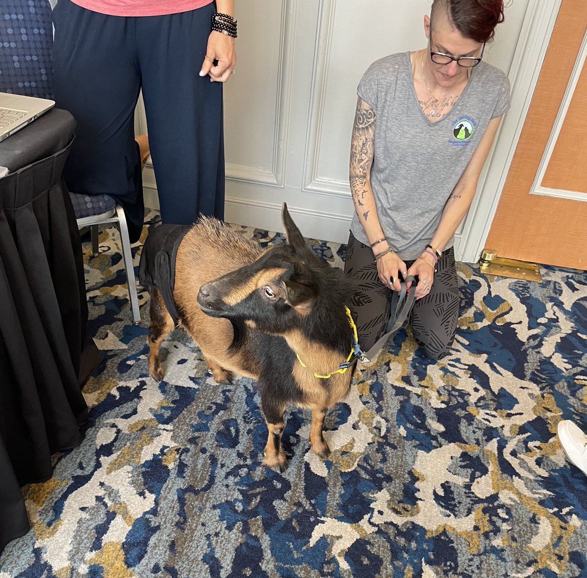 We’re very pleased to welcome our very special guest, Hazel Grace, an emotional support goat, to today’s 15th MSMR Animal Enrichment Symposium.