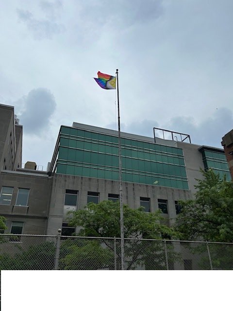 Celebrating Pride month by raising the Progressive Pride Flag in support of our 2SLGTBQIA+ community. Learn more:                   bit.ly/PrideTDSB #PrideTDSB