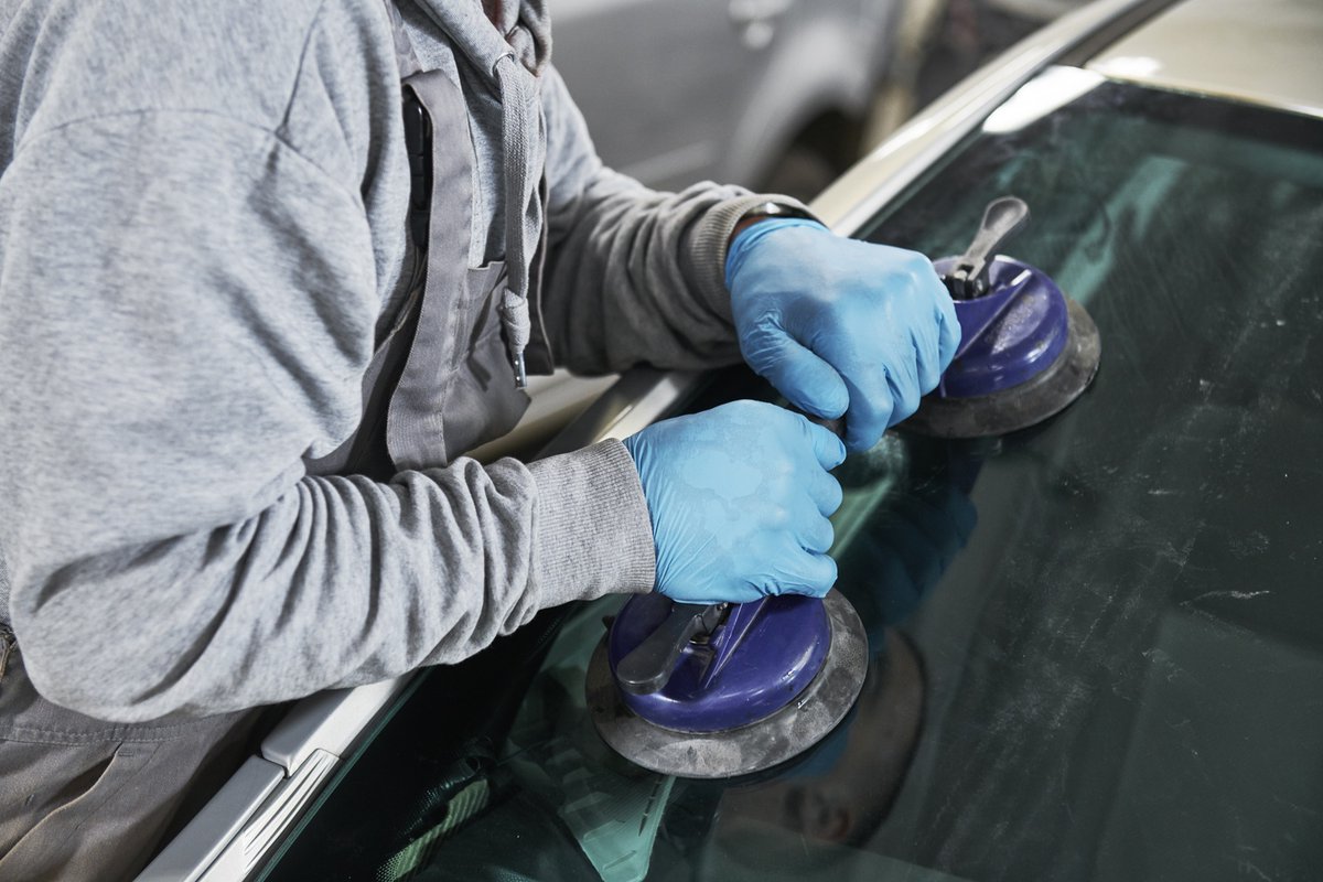 Whether you are from Alameda County or just visiting, Alpha Auto Glass is here for you! Check us out today! alphaautoglassinc.com #MobileAutoGlassTinting #MobileAutoGlassServiceHayward