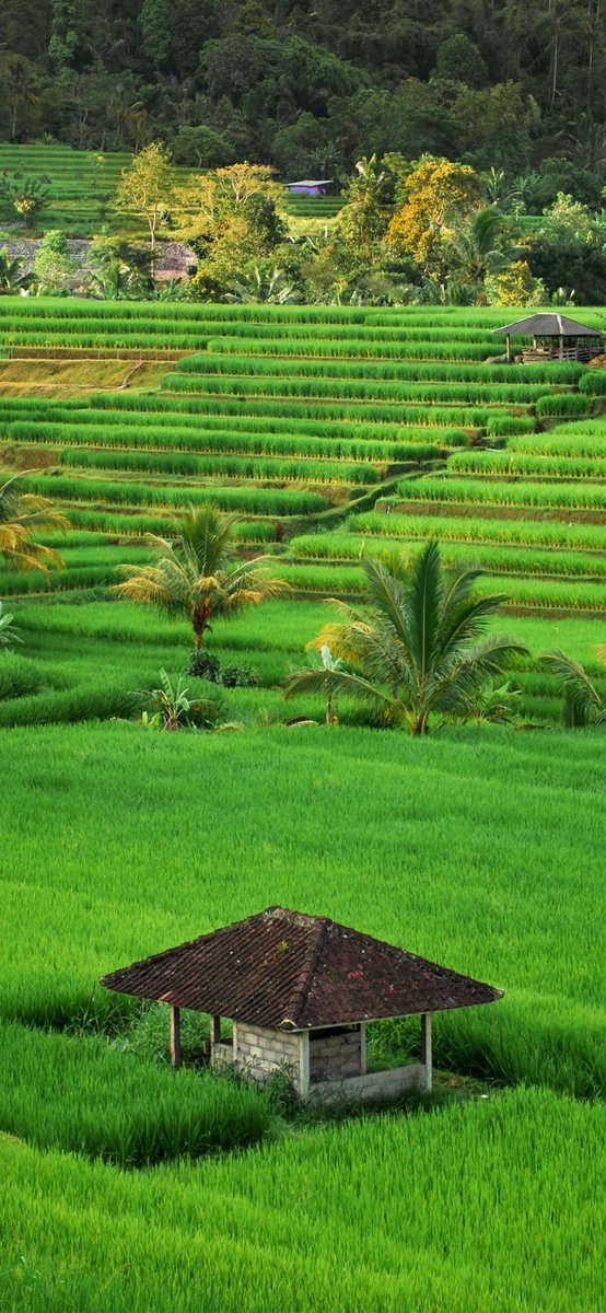 However long the night, the dawn will break  <a href="/AlanLyn85729661/">Alan Lynch</a>  <a href="/Pandora55858885/">Pandora Christiana</a>  <a href="/Kenyon2420/">rysiekn.eth</a>