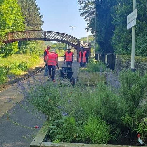 DVLrail's tweet photo. It's summer planting time on the #DerwentValleyLine 🌷🌻🌹

Last week #Whatstandwell Station Adopters were hard at work keeping the planters looking colourful. We think you'll agree the station is looking fantastic!

@WAdopters @EMCommunityRail @CommunityRail #PeatFree https://t.co/eC9GnnEgS6
