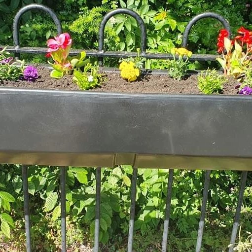 DVLrail's tweet photo. It's summer planting time on the #DerwentValleyLine 🌷🌻🌹

Last week #Whatstandwell Station Adopters were hard at work keeping the planters looking colourful. We think you'll agree the station is looking fantastic!

@WAdopters @EMCommunityRail @CommunityRail #PeatFree https://t.co/eC9GnnEgS6