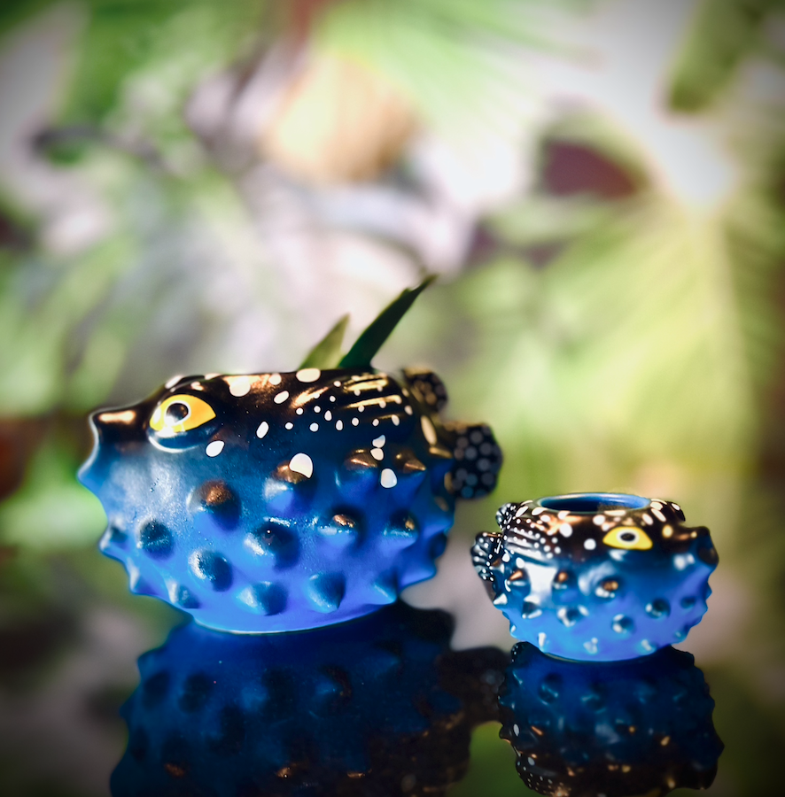 One Fish, Two Fish, Red Fish, BLUE BLOWFISH!!
NEW! Blue Blowfish &amp; Mini!
Swim over to our store to bring some of these little Fugus home!
shop.tradervics.com/collections/ce…