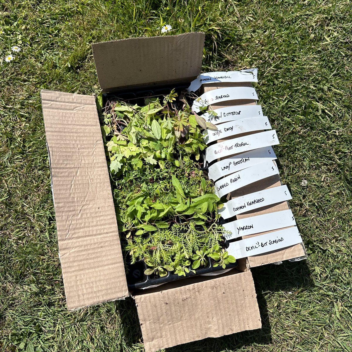 Steven Vacher tweet media