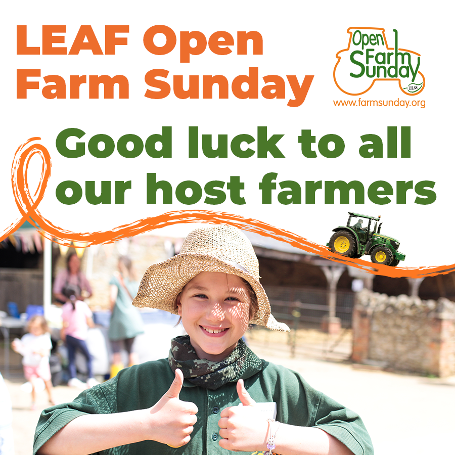 OpenFarmSunday tweet media