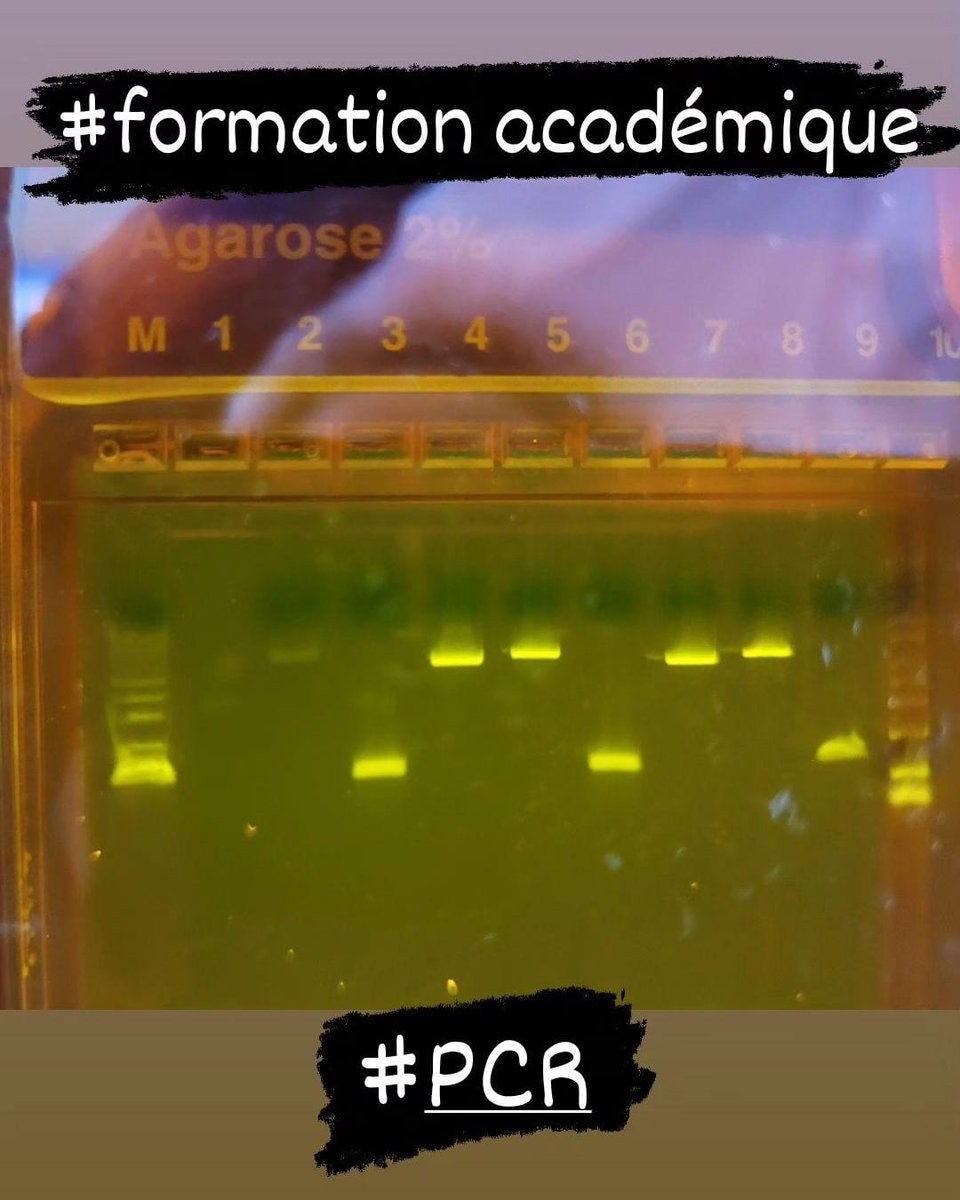 Wilfrid Grossin tweet media