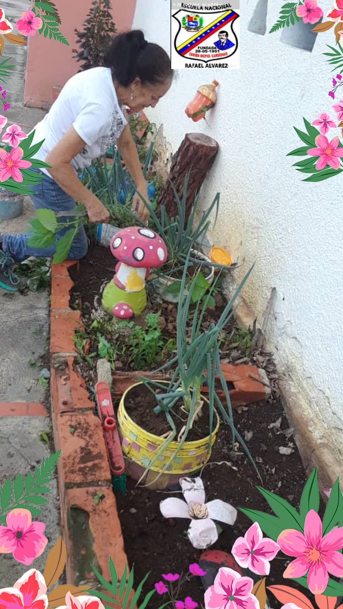 Nuestro Personal Obrero Señora Ana Iris  haciendo mantenimiento al huerto de la Institución 👏👏👏💞🙏☺️.@Redcardenas1 .<a href="/clifpsc/">CLIFPMV Municipio San Cristóbal</a>.@clif