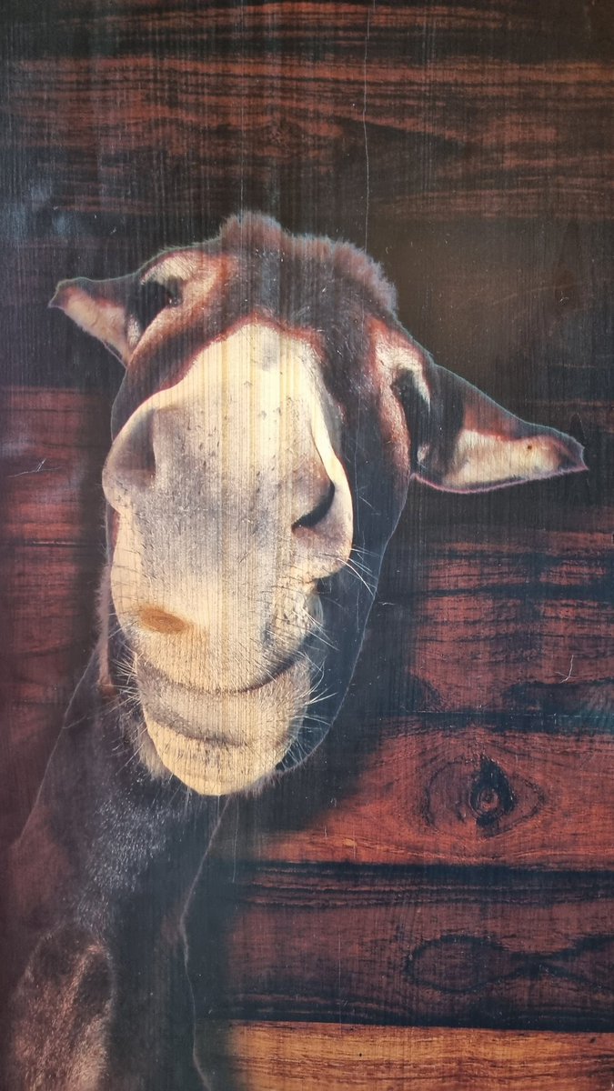 happylilly70's tweet image. 😍🫶❤️ @JamesArthur23 X #ayearago