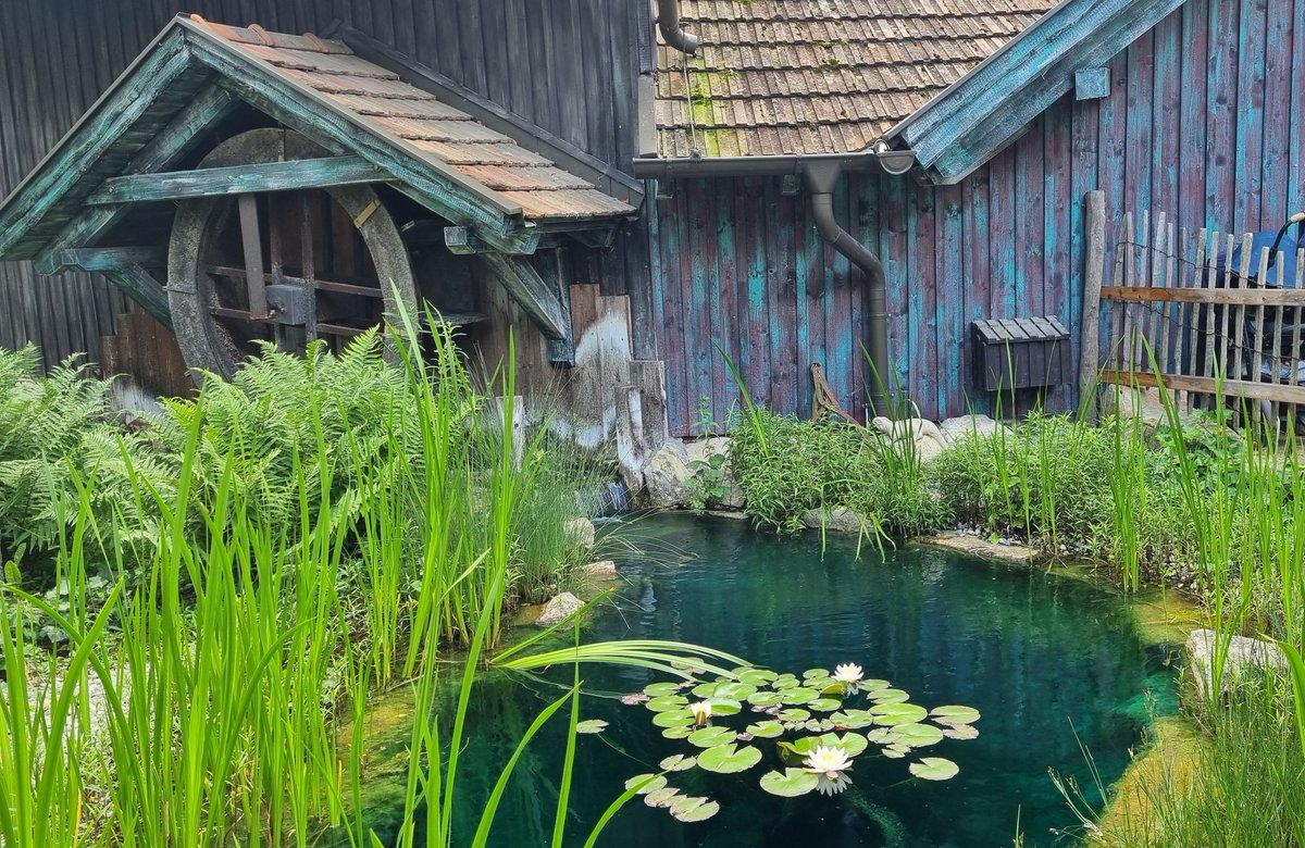 happylilly70's tweet image. 😍🫶❤️ @JamesArthur23 X #ayearago