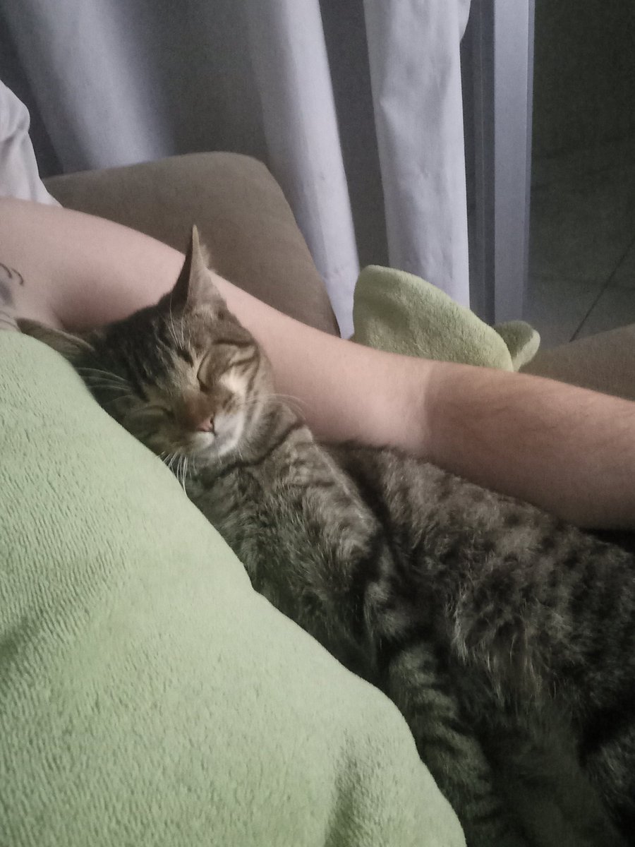gabsmanolo's tweet photo. A qualidade do sono de quem causa o dia inteiro https://t.co/CO13RwAm51