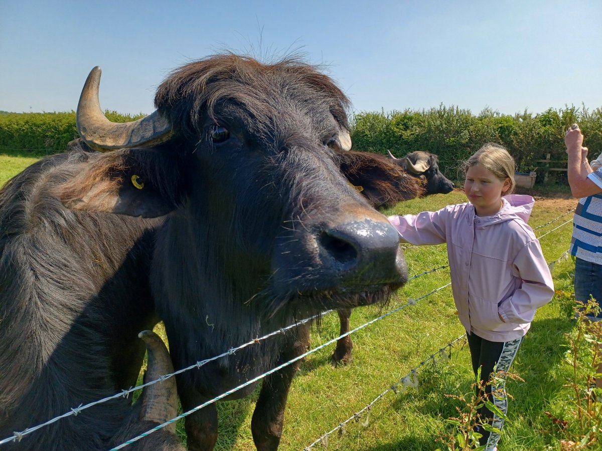 OpenFarmSunday tweet media