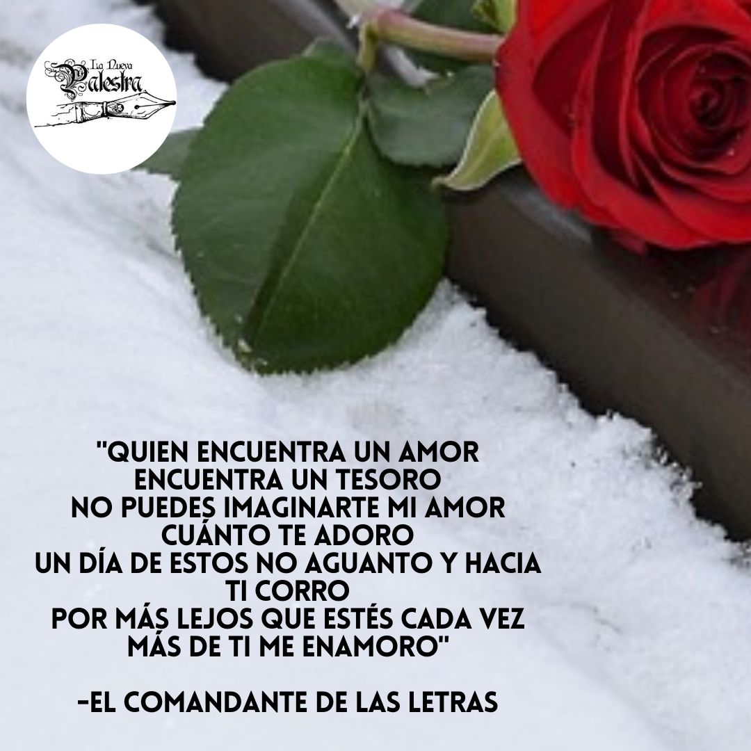 NuevaPalestra's tweet photo. 😘🥰😍Eres mi mas grande tesoro😘🥰😍
#amor #amores #tesoro #vesos #lanuevapalestra
#teamo #regalo #bendición #pareja #unico https://t.co/8U4Z7pay5l