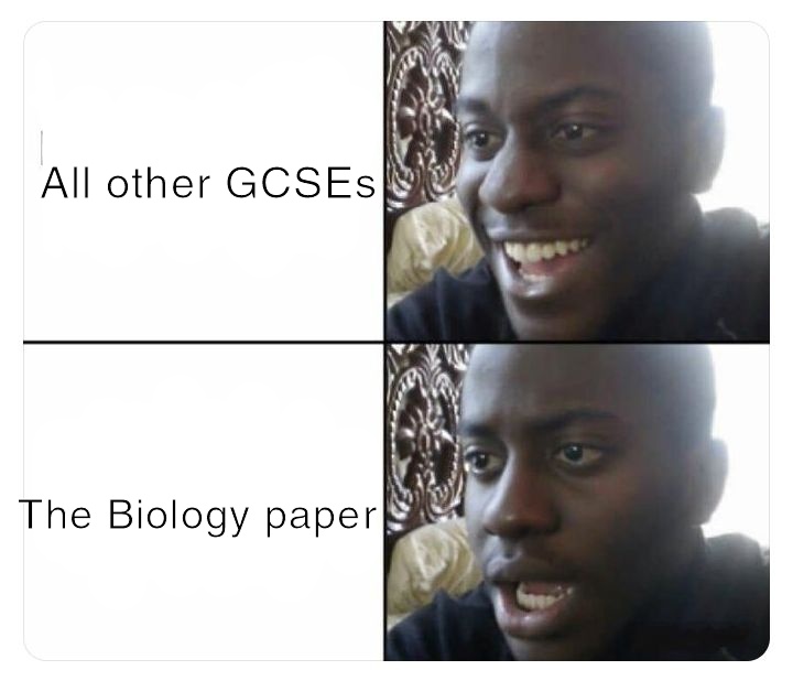 UpsLilyDOWN's tweet photo. #gcsebiology #gcse2023 #biology https://t.co/eW96px0M3p
