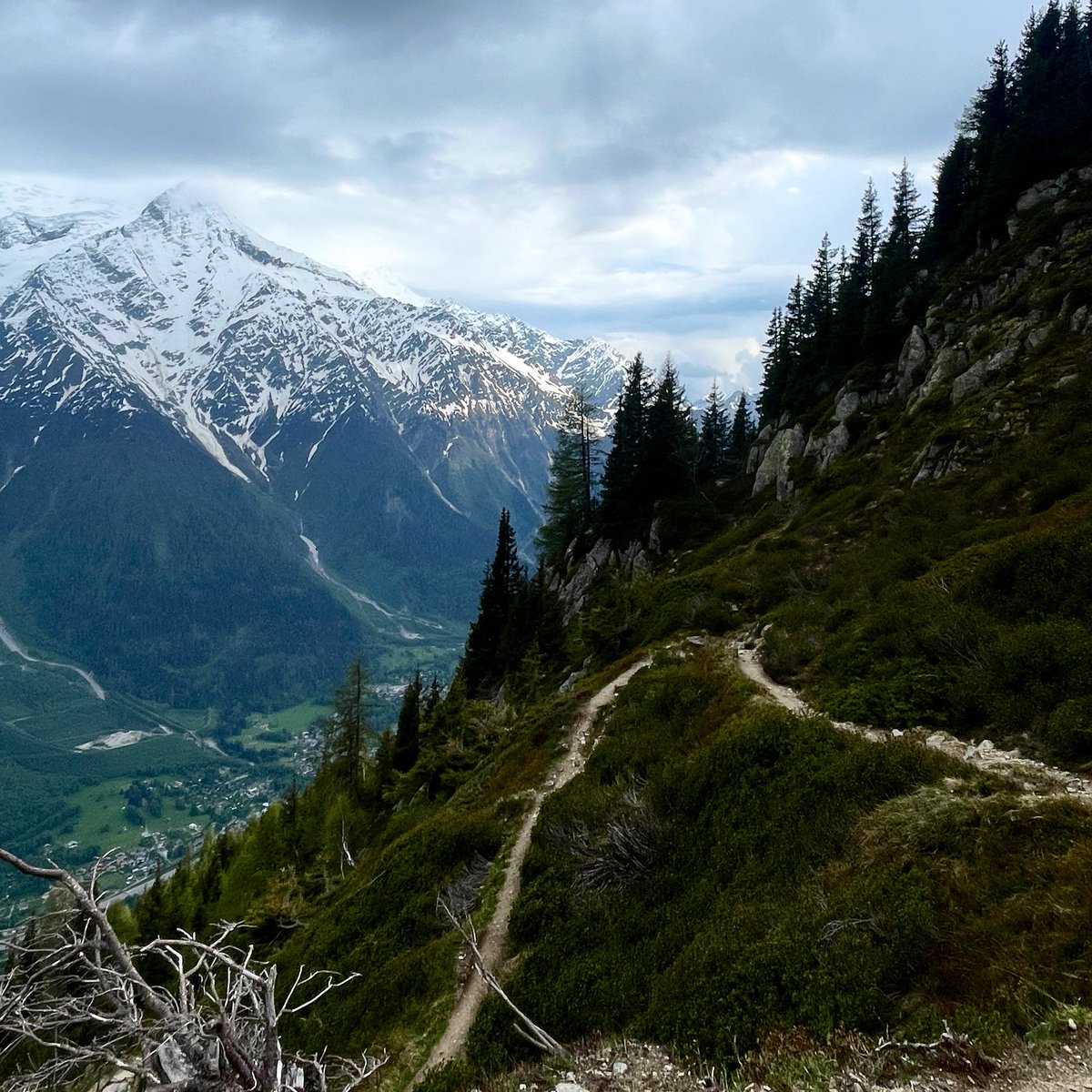 Aaron Shimmons tweet media