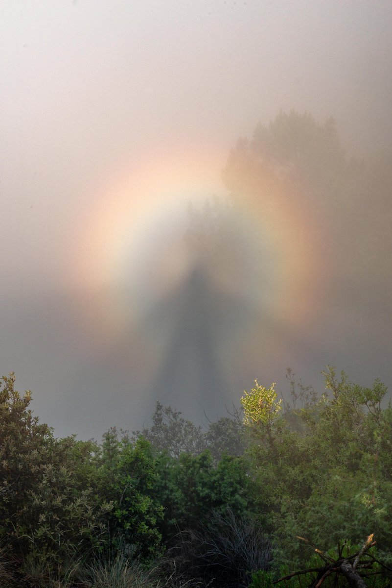 PnCevennes's tweet image. 😳 Attention ! Ceci n'est pas un phénomène surnaturel !

Il s'agit en réalité du spectre de Brocken capturé par Olivier Prohin sur la corniche des Cévennes !

🔎 En avez-vous déjà observé ?