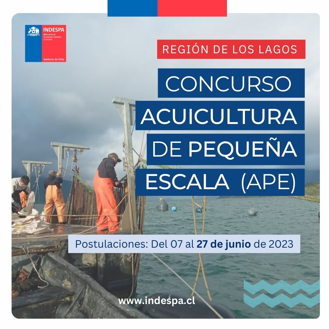 indespacl's tweet photo. ¡Nueva convocatoria! Concurso Acuicultura de Pequeña Escala #APE Región de #LosLagos, con un presupuesto total de $800 millones. Contempla financiamiento en 5 áreas dentro de la línea de adquisición de equipamiento productivo, estructuras e insumos. Revisa las Bases: indespa. cl https://t.co/XOEEidqX51
