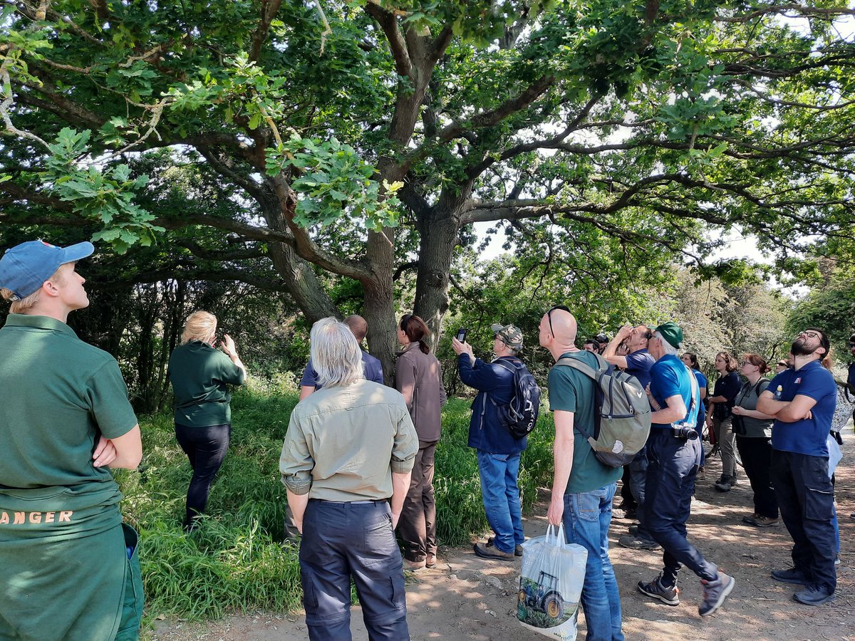 Medway Valley (@medwayvalley) on Twitter photo Our <a href="/ForestryEngland/">Forestry England</a> #OakProcessionaryMoth Kent survey is underway and today we ran a Training Session with Dartford Borough Council at D'ford Heath to show local teams and volunteers OPM in the field. Thanks everyone. Get in touch if youd like to volunteer to survey local oaks Our <a href="/ForestryEngland/">Forestry England</a> #OakProcessionaryMoth Kent survey is underway and today we ran a Training Session with Dartford Borough Council at D'ford Heath to show local teams and volunteers OPM in the field. Thanks everyone. Get in touch if youd like to volunteer to survey local oaks