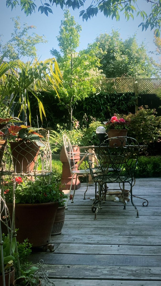 Summer is here in my garden! How about yours?….