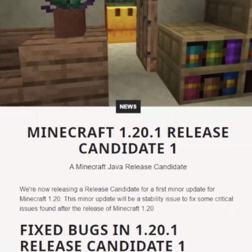 wattles 💎 on X: 30 UPDATES THAT COULD BE IN MINECRAFT 1.21   / X