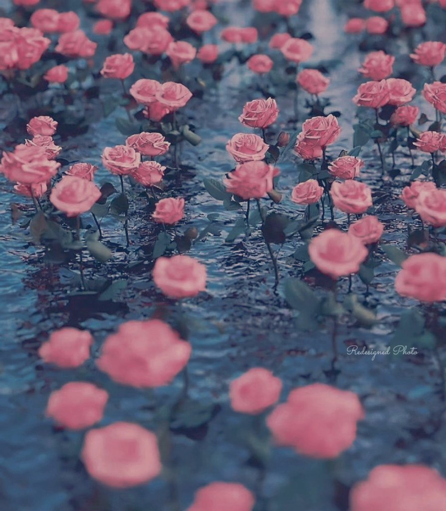 •.°•✿~ peace &amp; love ~✿•.°•

Nothing is predestined.
The obstacles of your past
can become the gateways
that lead to new beginnings…

~ Ralph Blum

°˖❀˖~ smile ~°˖❀･ﾟ.*•
