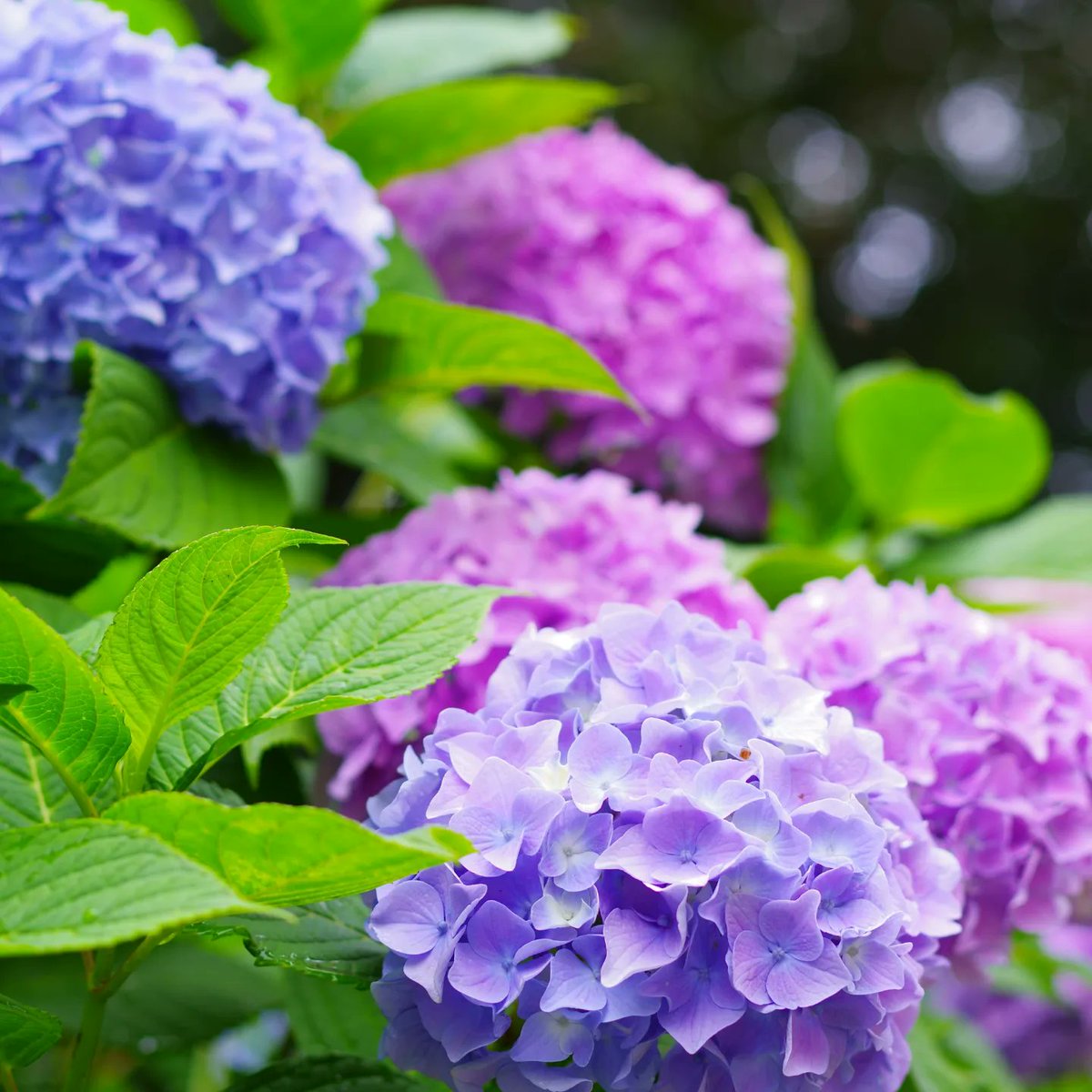 GoodSun_y tweet picture