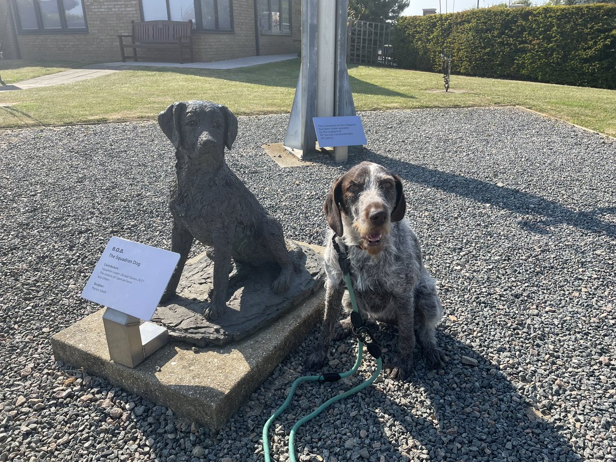 Got friends staying so there is only one place to take them @Memorial_theFew #dogfriendly #visit #tourist #friday #funday #dog #dogsofinstagram #dogsoftwitter