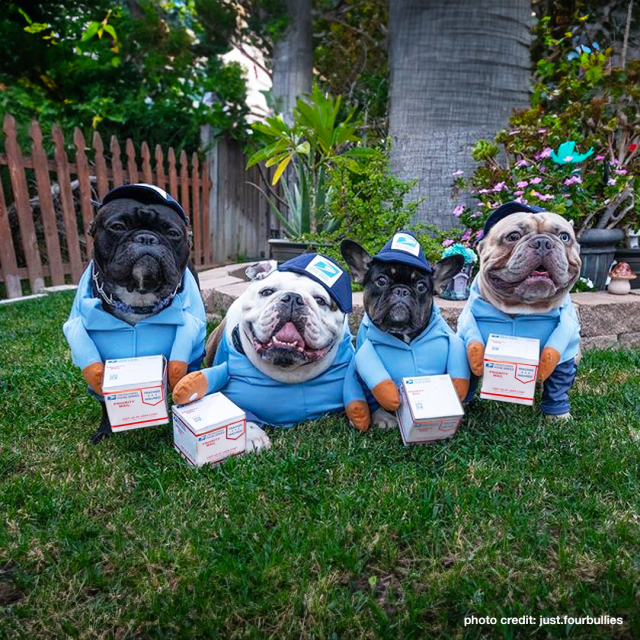 Mailin' It! Podcast: Dog Bite Awareness Week #USPSEmployee