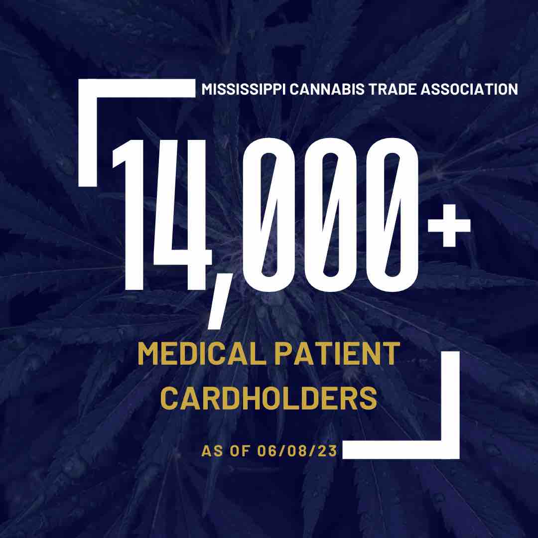 MSCTAssoc's tweet photo. 14,000 strong and growing!

We’re celebrating every single Mississippi cannabis patient who has found relief and healing through this incredible plant. Here’s to a brighter, more compassionate future for all. 

#MississippiCannabis #MSCTA #CannabisCommunity https://t.co/809QJWoWQl