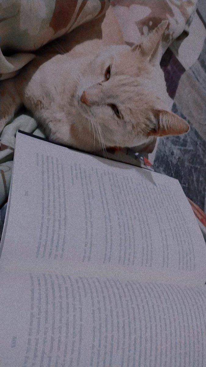 itsbluez's tweet image. A maior saudade de todos os tempos 🎶