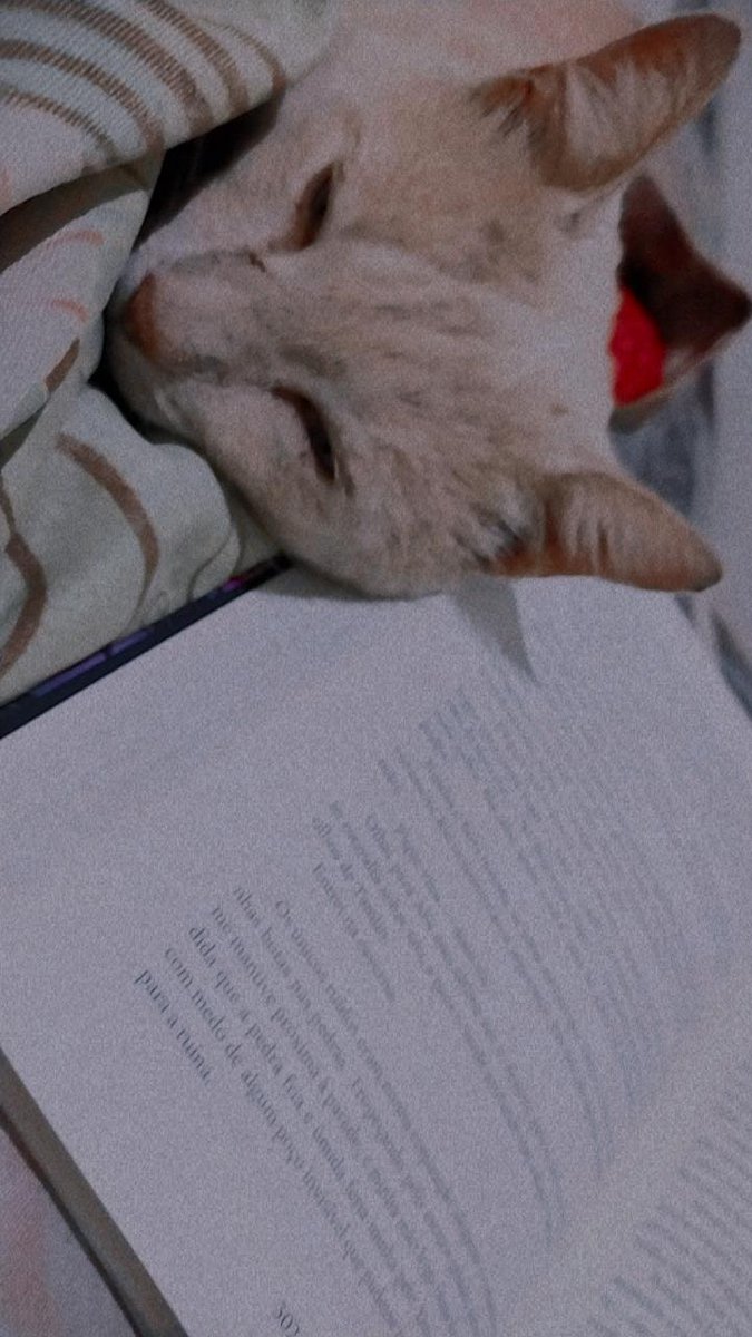 itsbluez's tweet image. A maior saudade de todos os tempos 🎶