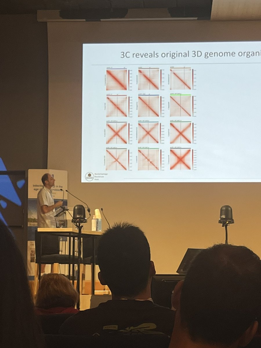 Devon Conti (@devoana1) on Twitter photo A great couple of days at the <a href="/CellSymposia/">Cell Symposia</a> at <a href="/institutpasteur/">Institut Pasteur, since 1887</a> with many many great talks 🦠 🧫 !
Where also my two bosses presented the current work ongoing in our labs 😊 A great couple of days at the <a href="/CellSymposia/">Cell Symposia</a> at <a href="/institutpasteur/">Institut Pasteur, since 1887</a> with many many great talks 🦠 🧫 !
Where also my two bosses presented the current work ongoing in our labs 😊