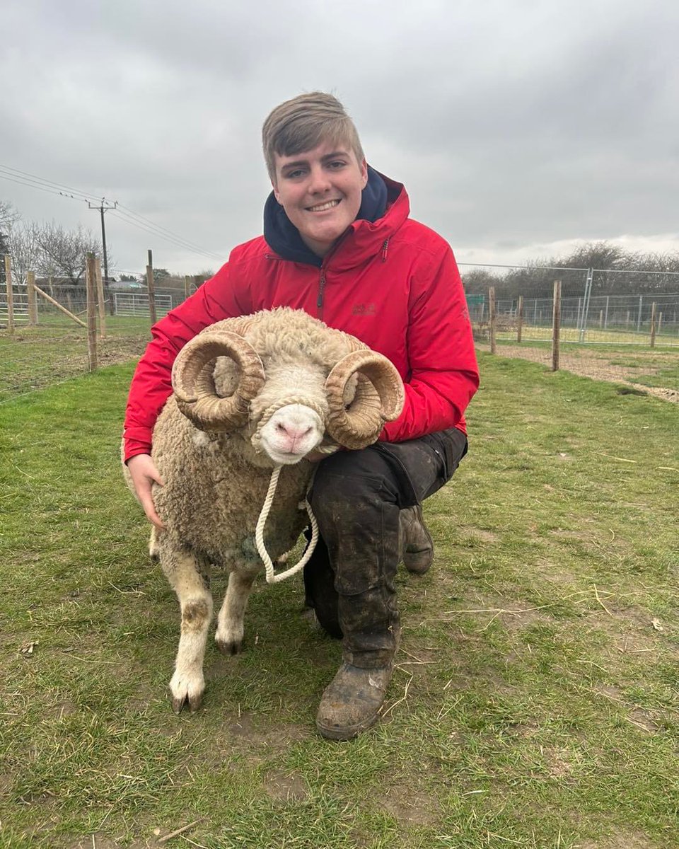 CurlysFarm's tweet photo. This is Mickey our farm apprentice. #futurefarmingfriday
“Curly’s have accepted me with open arms, allowing me to progress and improve my skills when it comes to farming. My apprenticeship has allowed me to gain that step into working in the farming community” https://t.co/0SRhBK231N