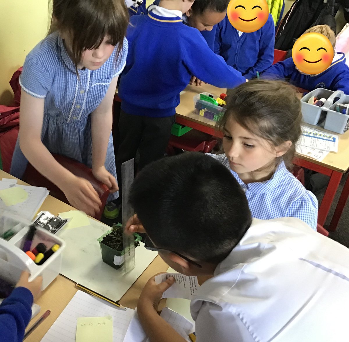 YR3 snapshot of this weeks learning. #lovelearning #youngscientists #homelearning