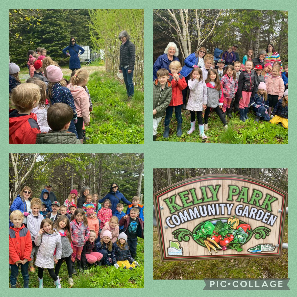 tanyasacrey (@misssacrey) on Twitter photo Community garden with the kindergartens…. Thank you to the leaders! <a href="/townoflbmcoc/">Town of LBMCOC</a> <a href="/SFOAschool/">St.Francis of Assisi School</a> <a href="/KristaJColes/">Krista</a> Community garden with the kindergartens…. Thank you to the leaders! <a href="/townoflbmcoc/">Town of LBMCOC</a> <a href="/SFOAschool/">St.Francis of Assisi School</a> <a href="/KristaJColes/">Krista</a>