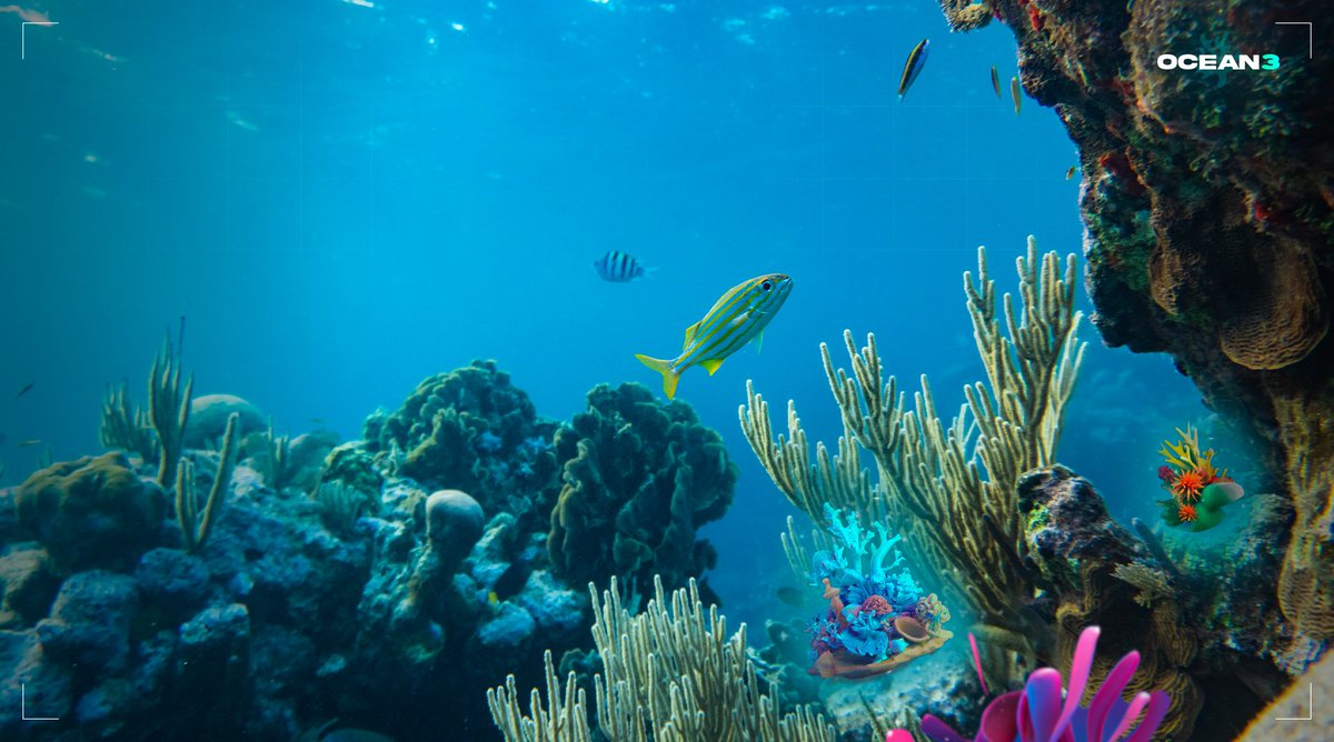 ocean3project's tweet photo. What's your style of Coral Polyp? ✨

Discover the 147 other #NFTs in our collection here : https://t.co/vlKPVIc9ZG

Collect your jewels and dive with us to regenerate the ocean! 🌊

#Web3 #generationrestoration #NFTs https://t.co/ZhmeUjNnFL