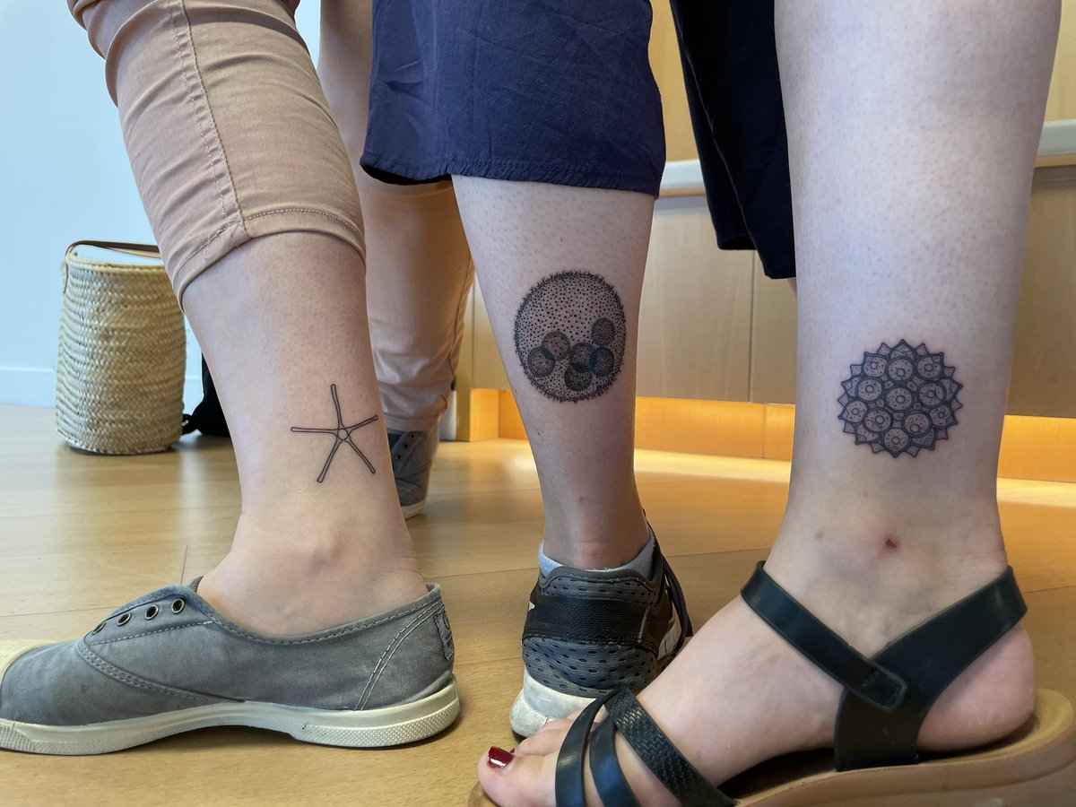 SaLevasseur's tweet photo. From talks at #ASLO2023 to getting an Asterionella formosa, a Volvox aureus and a Coelastrum cambricum. #nerds #phytoplankton 
@aslo_org https://t.co/rdouB3V72p