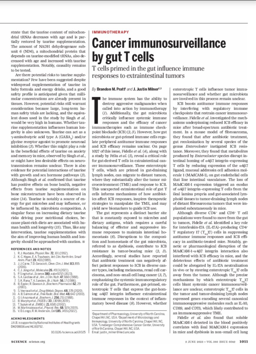 Anirban Maitra (@aiims1742) on Twitter photo Perspective in <a href="/ScienceMagazine/">Science Magazine</a> on how T cells primed in the gut influence immune responses to extra intestinal cancers.
science.org/doi/10.1126/sc…
Original papers
science.org/doi/10.1126/sc…
science.org/doi/10.1126/sc…
Two complementary observations converging on the same integrin. Perspective in <a href="/ScienceMagazine/">Science Magazine</a> on how T cells primed in the gut influence immune responses to extra intestinal cancers.
science.org/doi/10.1126/sc…
Original papers
science.org/doi/10.1126/sc…
science.org/doi/10.1126/sc…
Two complementary observations converging on the same integrin.