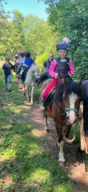 winterfoldhs's tweet photo. It was a beautiful evening for our horse riding 'Extra' last night and the children enjoyed their woodland ride. They have made so much progress this term. #WinterfoldActivities #SchoolActivities https://t.co/PKnvWtAaVT