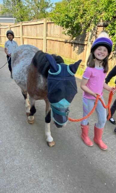 winterfoldhs's tweet photo. It was a beautiful evening for our horse riding 'Extra' last night and the children enjoyed their woodland ride. They have made so much progress this term. #WinterfoldActivities #SchoolActivities https://t.co/PKnvWtAaVT